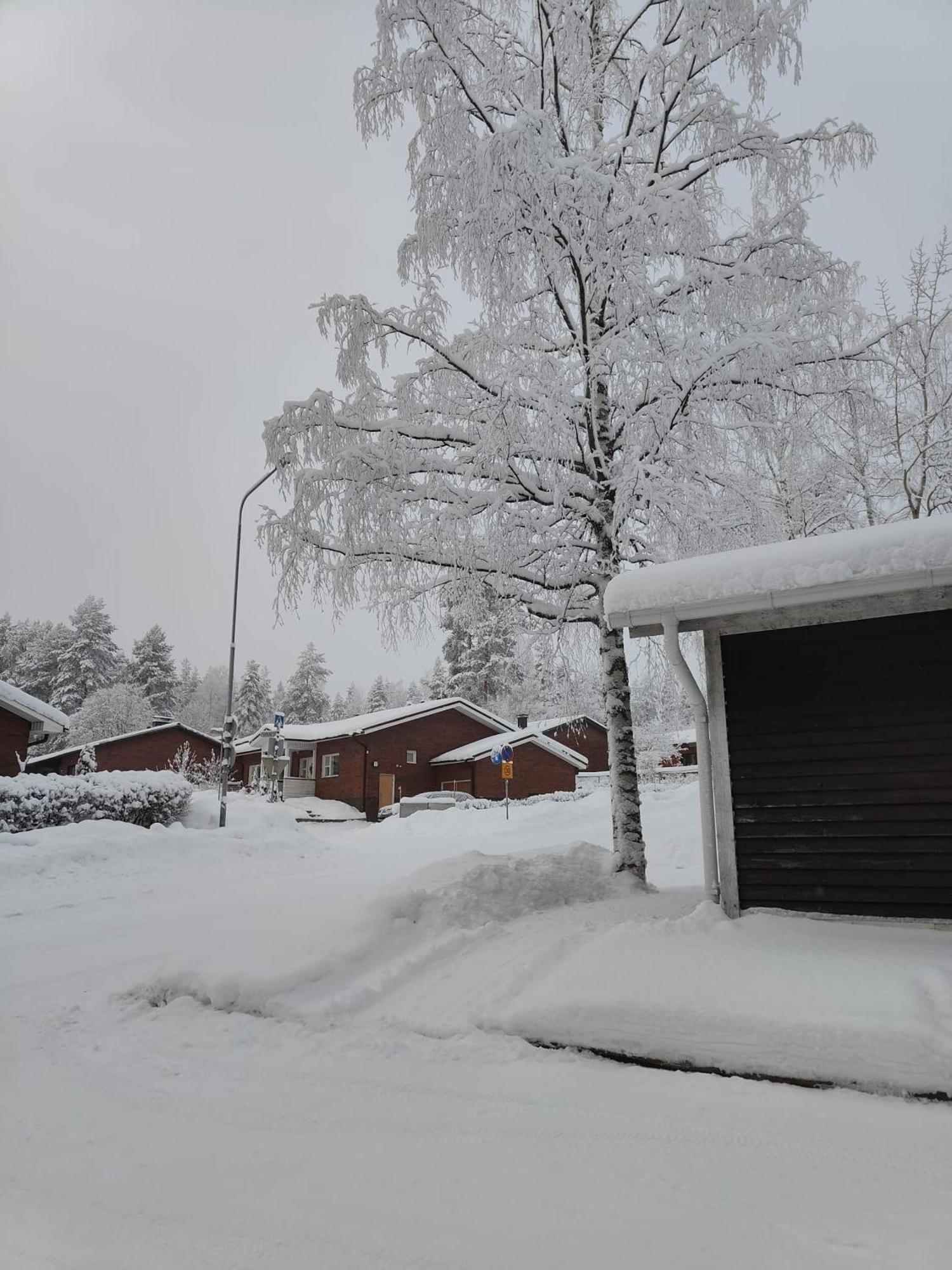Cozy Forest Retreat In Kuopio - Perfect For Families Work Trips ภายนอก รูปภาพ